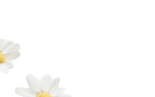 Buff City Soap Sticker