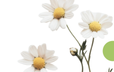 Buff City Soap Sticker