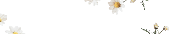 Buff City Soap Sticker