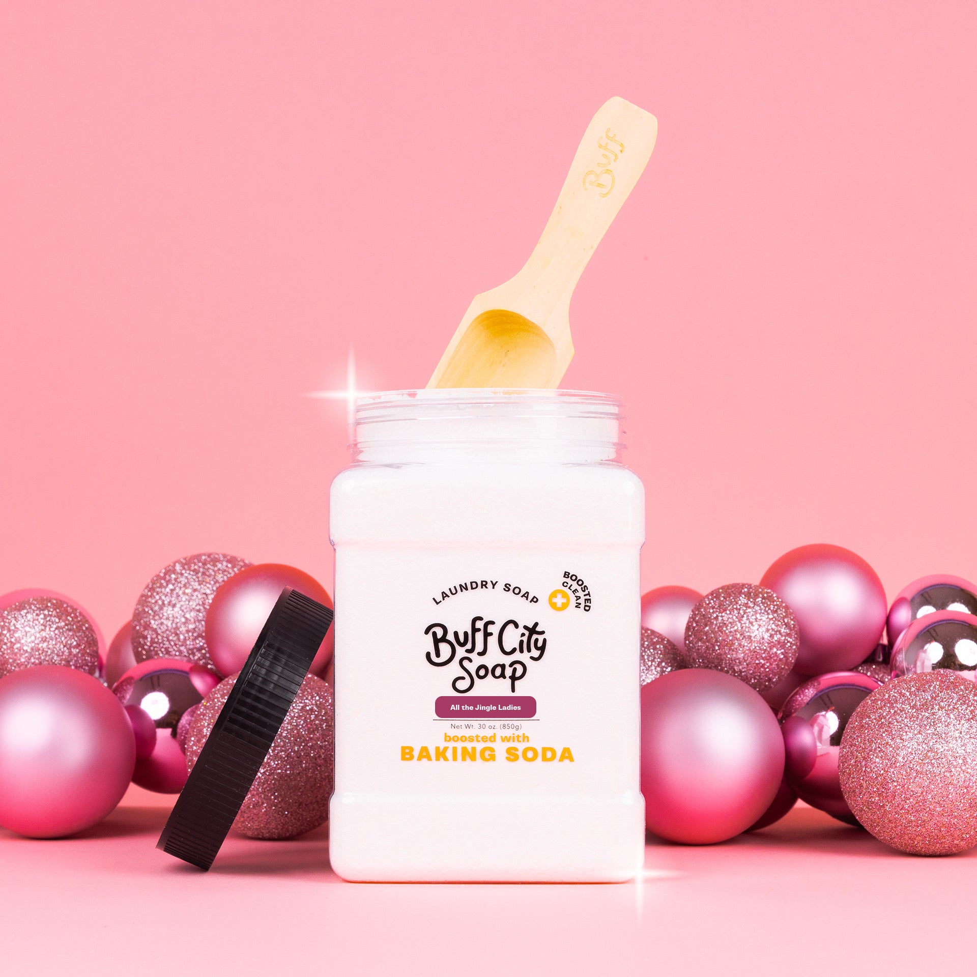 All The Jingle Ladies Laundry Soap Plus